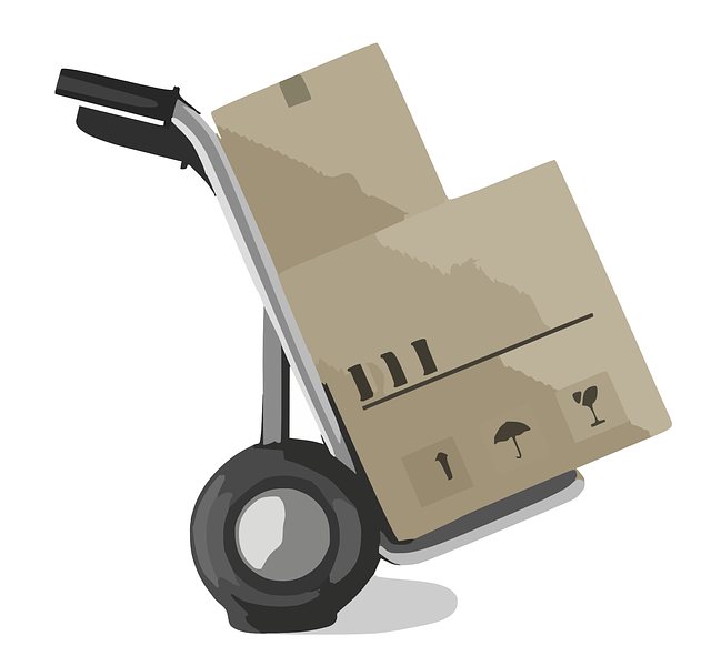 carretilla con cajas para reponer máquina expendedora vending en Zaragoza